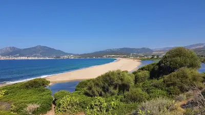 a view of a beach with trees and the ocean at Porticcio - Casa Corsa in Porticcio