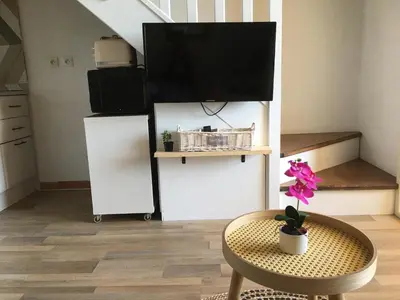 a living room with a tv and a table with a flower at Corse Appartement vue mer - Linguizzetta - Marine de Bravone in Linguizzetta