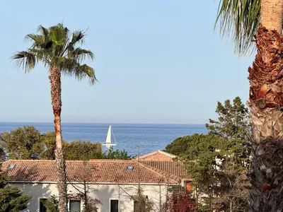 a sailboat in the ocean with a building and a palm tree at Corse Appartement vue mer - Linguizzetta - Marine de Bravone in Linguizzetta