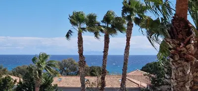 a group of palm trees with the ocean in the background at Corse Appartement vue mer - Linguizzetta - Marine de Bravone in Linguizzetta