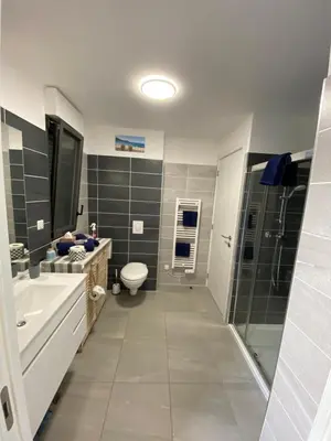 a bathroom with a toilet and a sink and a shower at Stella mare à porticcio in Porticcio