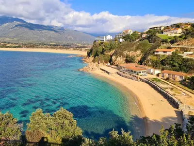 an aerial view of a beach with trees and houses at T2 de standing front de mer in Propriano