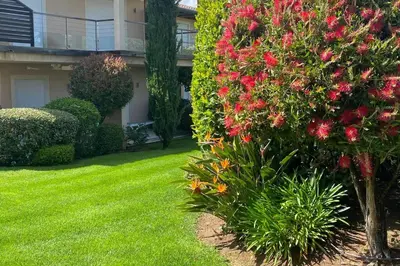 a bush with red flowers in front of a house at Appartement à 50 mètres de la plage in Zonza