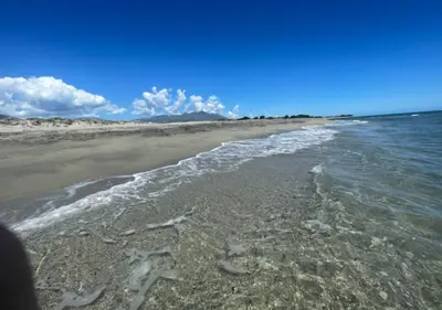 a beach with the water washing up on the shore at Résidence Poggiole in San-Nicolao