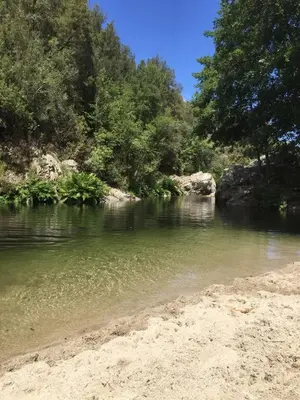 a body of water next to a beach with trees at Cabane 2 in Olivese