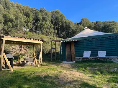 two chairs sitting in front of a green house at Cabane 2 in Olivese