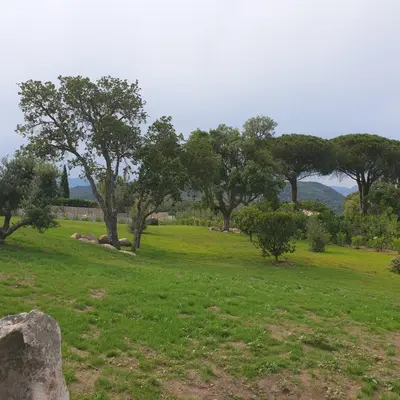 a field of grass with trees and a rock at Villa Maria 12 pers piscine chauffée 5 min plage en voiture in Sainte-Lucie de Porto-Vecchio
