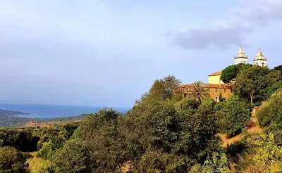 a building on top of a hill with trees at Terre de Maquis, maison d'hôtes vue mer Corse in Sari-dʼOrcino