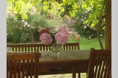 a vase of flowers sitting on a wooden table at Grande maison au cadre verdoyant au centre village in Cargèse