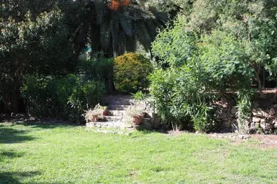 a set of stairs in a yard with trees and grass at Grande maison au cadre verdoyant au centre village in Cargèse