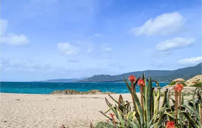a plant on a sandy beach next to the ocean at Gorgeous Apartment In Propriano in Propriano