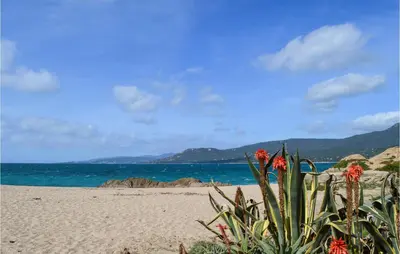 a plant on a sandy beach near the ocean at Cozy Apartment In Propriano With Wifi in Propriano