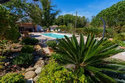 a swimming pool in a garden with a palm tree at Villa Roma in Prunelli-di-Fiumorbo