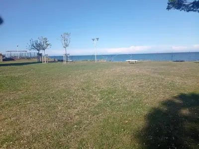 a park with a bench in the middle of a field at Magnifique Studio bord de mer numéro 88 in Santa-Lucia-di-Moriani
