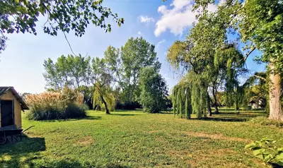 a park with weeping willows and trees on a sunny day at PRATICCIONI in Linguizzetta