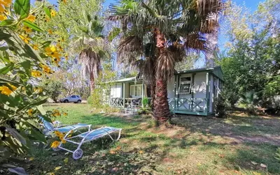 a palm tree and a tiny house in a yard at PRATICCIONI in Linguizzetta