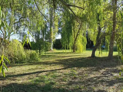 a park with trees and a field with grass at PRATICCIONI in Linguizzetta
