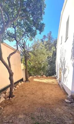 a tree next to a white building with a sidewalk at Villa Leku Lucia 8 pers piscine chauffée 15 min plage en voiture in Sainte-Lucie de Porto-Vecchio