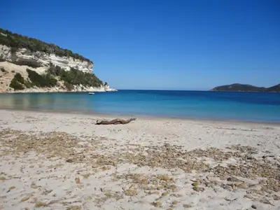 a log laying on a beach near the water at Villa de plein pied en campagne bonifacienne 84m2. in Bonifacio