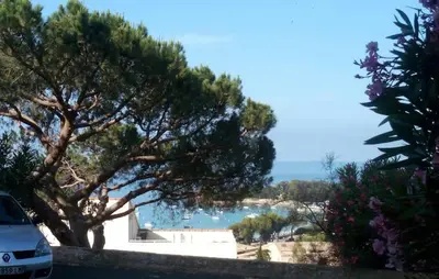 a car parked next to a tree and a body of water at AJACCIO VUE MER ET MONTAGNES JACUZZI 300M PLAGEs in Ajaccio
