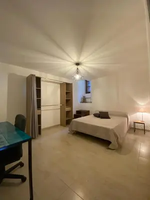 a bedroom with a bed and a desk in a room at Appartement de charme vieille ville in Corte