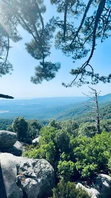 a view from the top of a mountain with trees at Résidence Costa Nera Santa Giulia in Porto-Vecchio