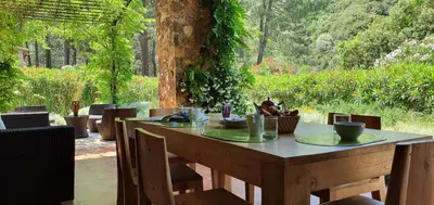 a wooden table with plates and cups on top of it at Domaine Codaleone in Serriera