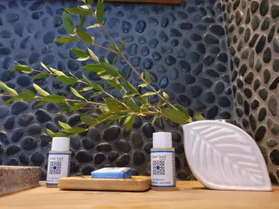 three bottles of essential oils on a table with a plant at Domaine Codaleone in Serriera