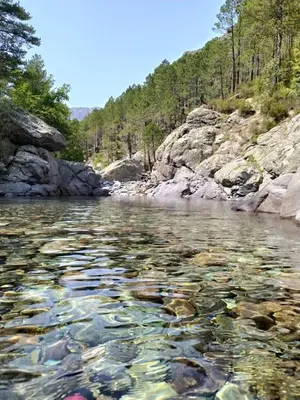 a river with rocks and trees in the background at BRILOC AJACCIO centre ville in Ajaccio