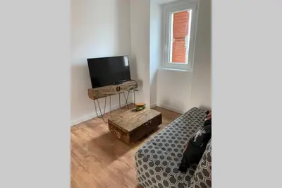 a living room with a bed and a flat screen tv at chez LULU appartement neuf au coeur de cozzano in Cozzano