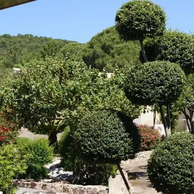 Les Jardins De Santa Giulia - Charmante chambre dhte