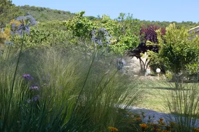 a garden with tall grass and purple flowers at Les Jardins De Santa Giulia - Charmante chambre dhte in Porto-Vecchio