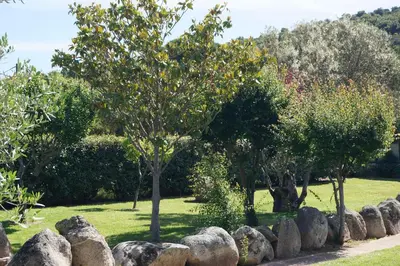 a row of rocks and trees in a park at Les Jardins De Santa Giulia - Charmante chambre dhte in Porto-Vecchio