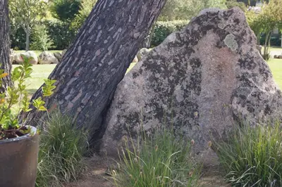 a large rock sitting next to a tree at Les Jardins De Santa Giulia - Charmante chambre dhte in Porto-Vecchio