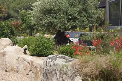 a garden with a tree and a stone wall at Les Jardins De Santa Giulia - Charmante chambre dhte in Porto-Vecchio