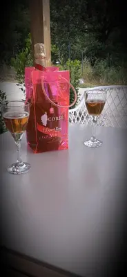 two glasses of wine and a bag on a table at Casa Prunelli in Omessa