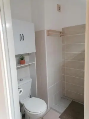 a white bathroom with a toilet and a shower at Studio 4 personnes bord de mer avec piscine wifi in Cervione
