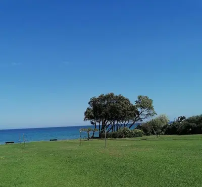 a park with trees and the ocean in the background at Studio 4 personnes bord de mer avec piscine wifi in Cervione