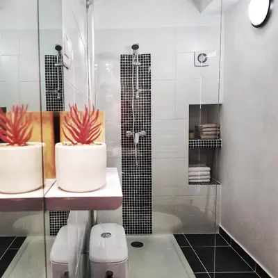 a bathroom with a shower with two plants in it at Appartement T2bis Sartène 60m2 avec jolie terrasse de 25m2 et vue panoramique mer et montagne sur le Golfe du Valinco - Quartier calme à 10mn à pied du centre ville - Idéal pour 4 personnes et possibilité de 6 couchages - Place de parking réservée in Sartène