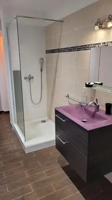 a bathroom with a purple sink and a shower at F2 rez de jardin in Ajaccio