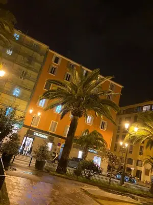 a palm tree in front of a building at night at AJACCIO VUE IMPRENABLE APPT 3 P POUR 4 OU 5 PERSONNES SANGUINAIRES 300M PLAGES ET MERPERSONNES in Ajaccio