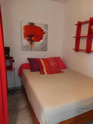 a bedroom with a bed with red pillows and a painting at AJACCIO SANGUINAIRES APPT 3P POUR 4 A 5 P TTES COMMODITÉS TT CONFORT A 300M DE LA MER ET A 5 MN DU CENTRE VILLE in Ajaccio