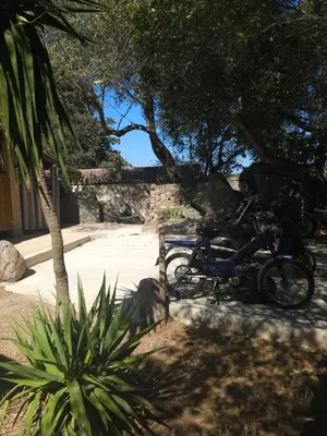a motorcycle parked under a tree next to a sidewalk at CAMPING GALLINA VARJA in Sotta
