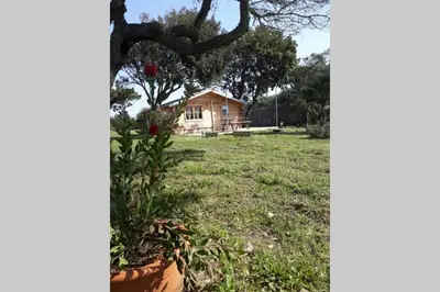 a house in the background with a yard with a plant at Chalet Climatisé SANTA MARIA à Bonifacio in Bonifacio