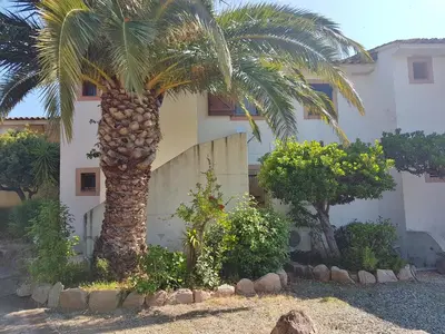 a palm tree in front of a building at ORO 61 in Conca