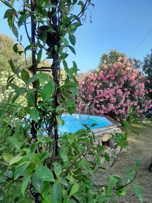 a swimming pool in a garden with pink flowers at Mini Villa Giuseppina in Bonifacio