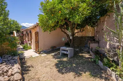 a small yard with a tree and a house at Casa Cardiccia in Folelli