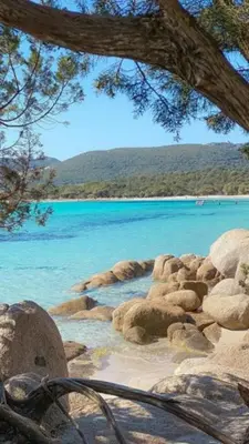 a view of a beach with rocks and blue water at Spacieux T3 Proche Port de Porto Vecchio in Porto-Vecchio