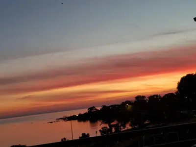 a sunset over the water with trees in the foreground at VIEILLE VILLE D AJACCIO de 1 a 4 PERs A 300M DU PORT ET A 15 MN DE LAEROPORT PROCHES DE PLUS BELLES PLAGES ET TTES COMMODITES A PROXIMITE in Ajaccio