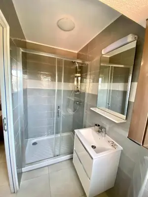 a bathroom with a shower and a white sink at STUDIO TERRASSE VUE MER Clim Wifi Parking in Partinello